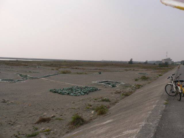P1080020.JPG