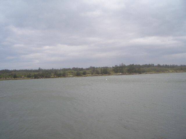 CIMG2766.JPG