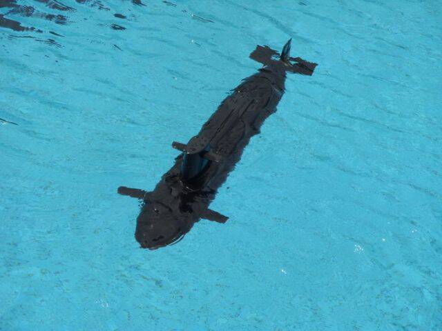 SDC12347.jpg