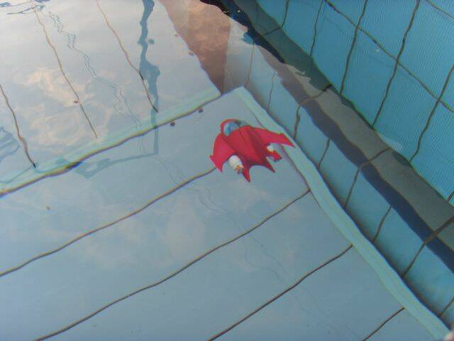 SDC12376.jpg