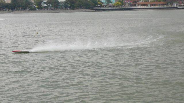 P1130817.jpg