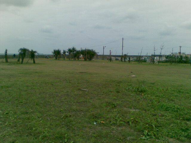 20100328(004).jpg