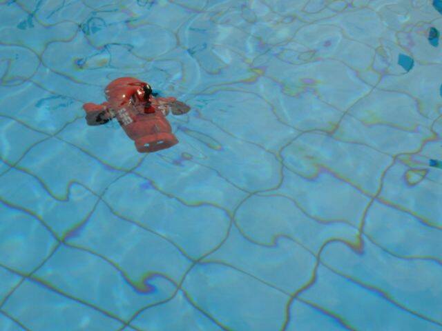 DSC04234.JPG