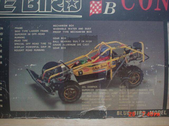 bluebirddsc00026xrz4.jpg