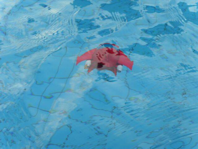 SDC12368.jpg