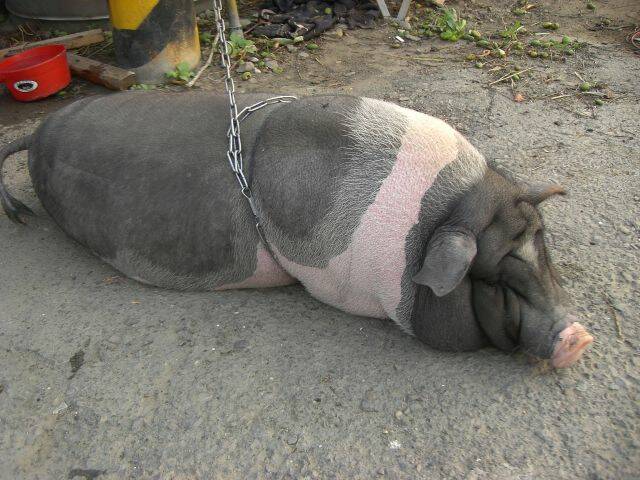 照片飛機 070.jpg