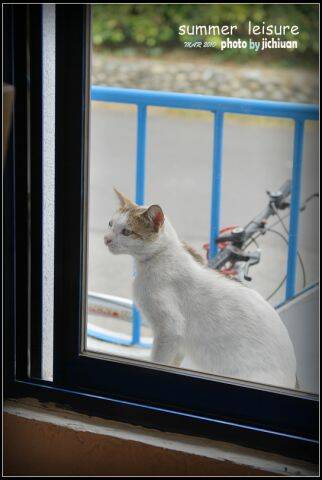 DSC_7967.jpg