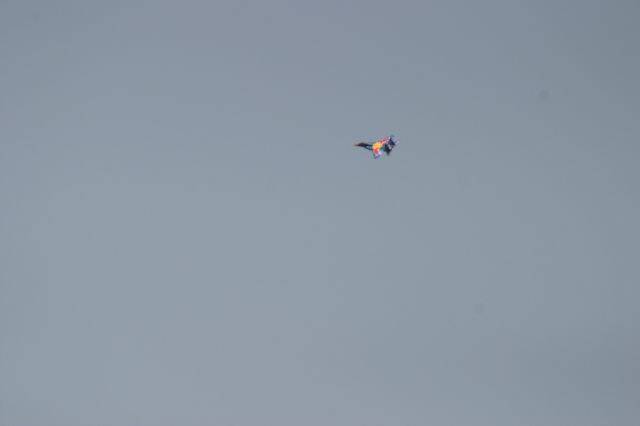 IMG_1633-1.JPG