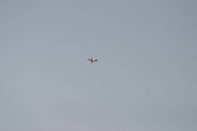 IMG_1624-1.JPG