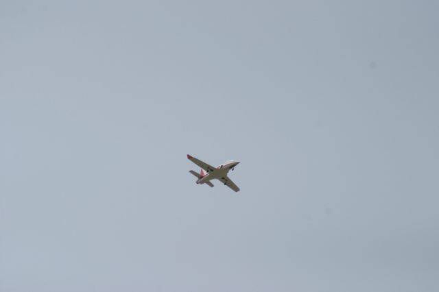 IMG_1690-1.JPG