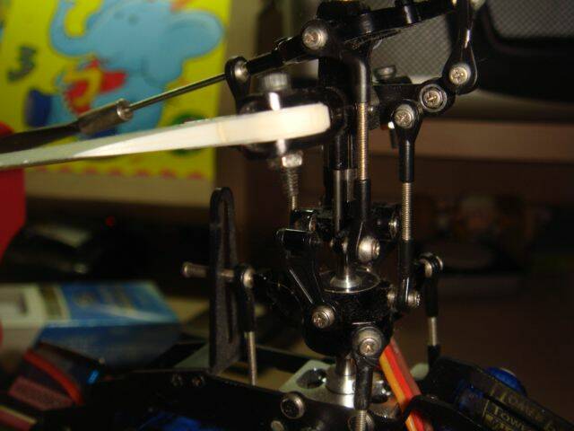 DSC06443.JPG