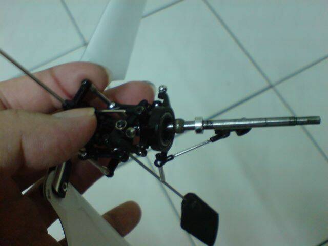 DSC04215.JPG