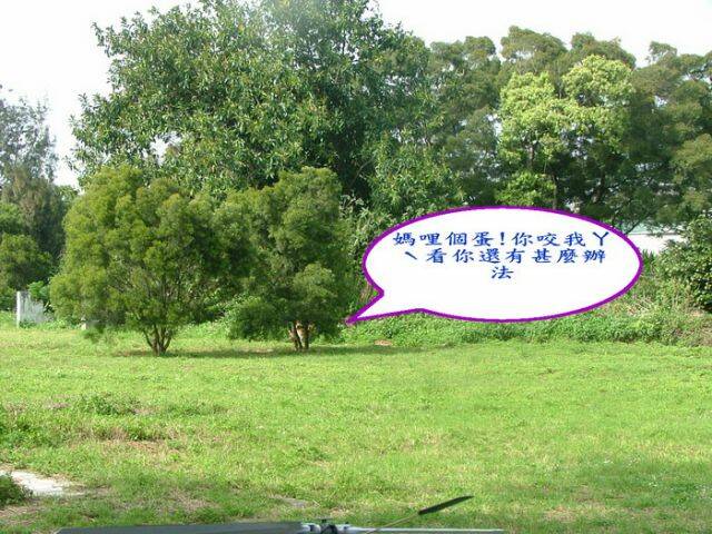 DSCF3774.jpg
