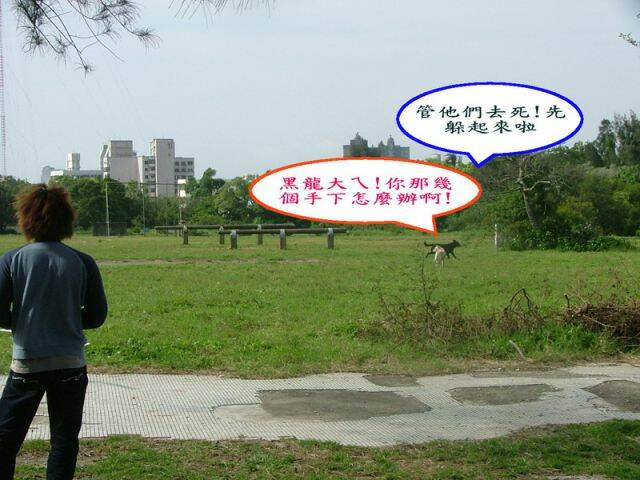 DSCF3773.jpg