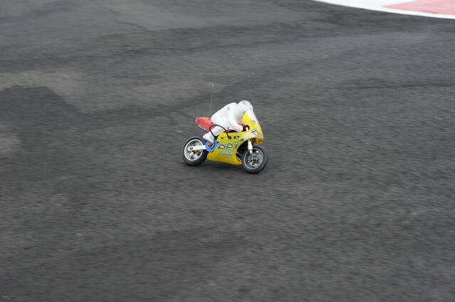 DSC_4805.jpg