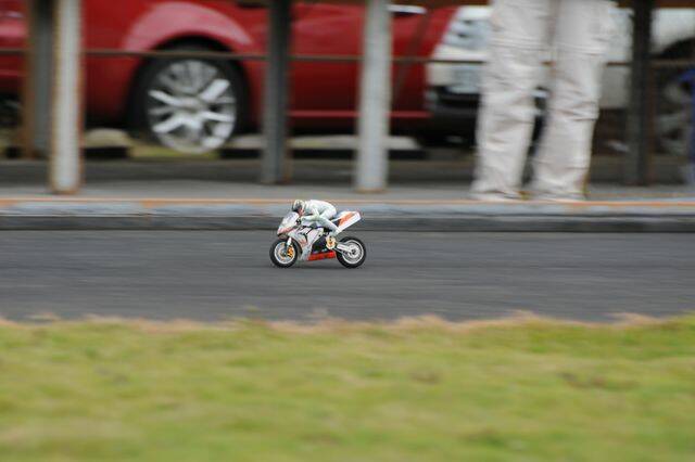 DSC_4832.jpg