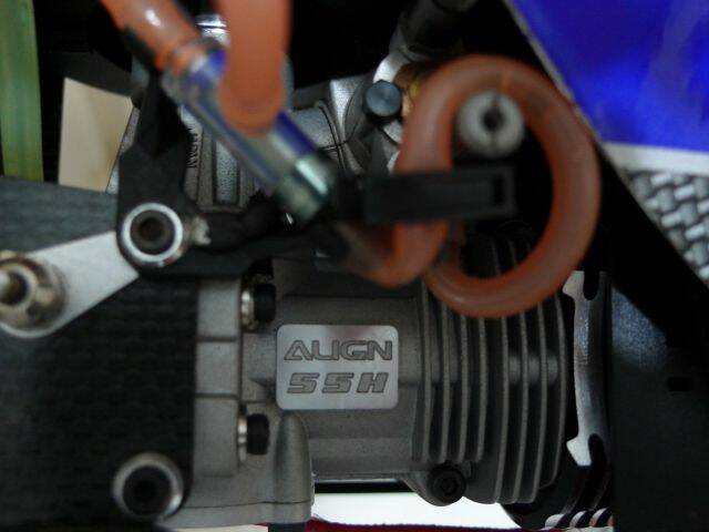 P1000375-1.jpg