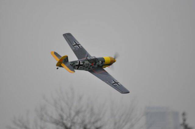 DSC_0802.jpg