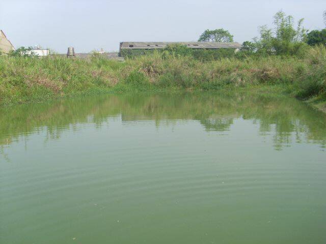 SL377786.JPG