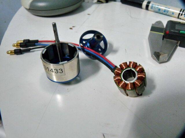 P1050176.jpg