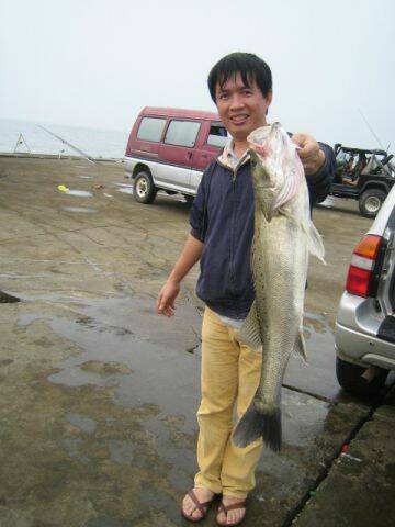 直升機放長線釣大魚