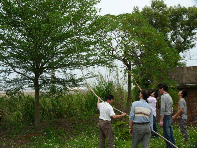 P1050191.JPG