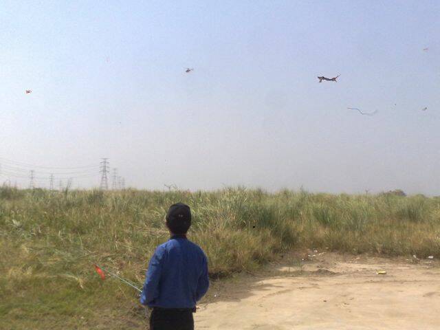 225.jpg