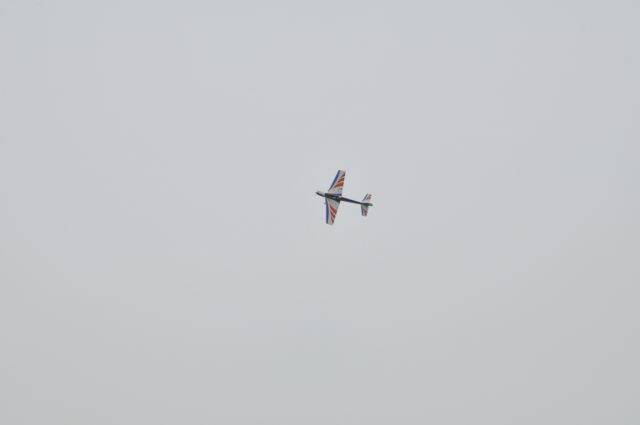 _DSC7531.jpg