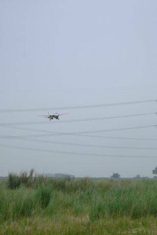 DSCF0089.JPG