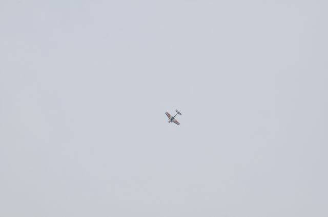 _DSC7585.jpg