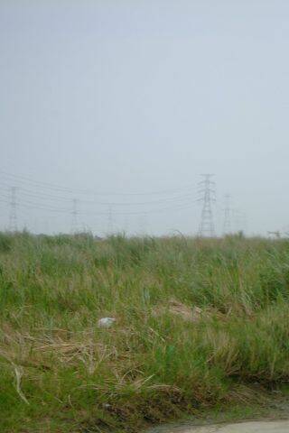 DSCF0141.JPG