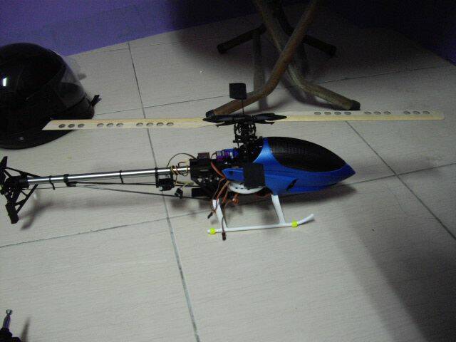 IMGP1273.JPG