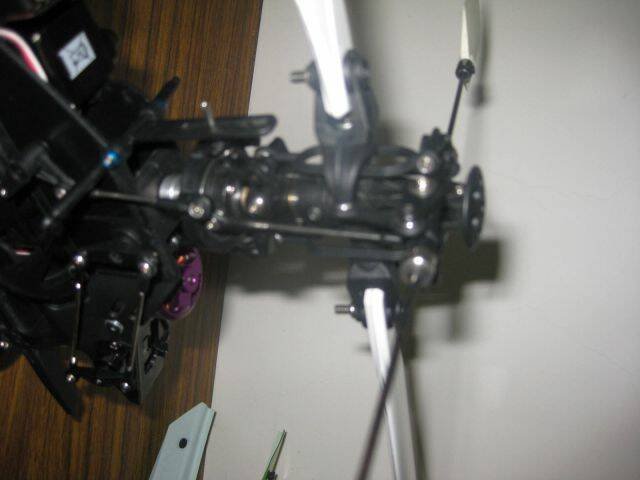 20100124 007.jpg