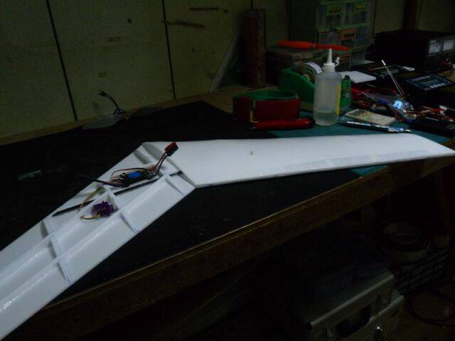 P1050305.JPG
