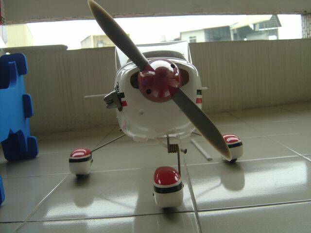 西斯那 005.jpg