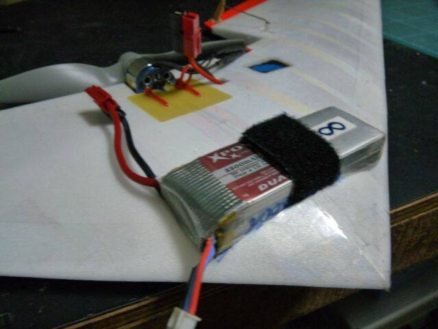 P1050355.JPG