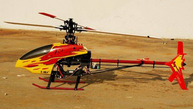 Esky King III.jpg