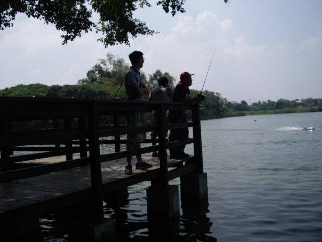 IMGP0826.JPG