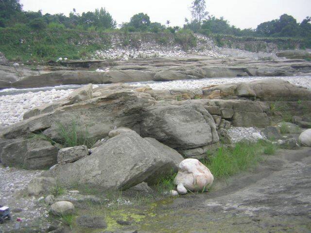 DSCN5501.JPG