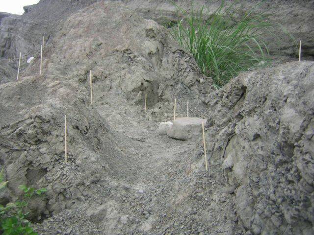 DSCN5505.JPG