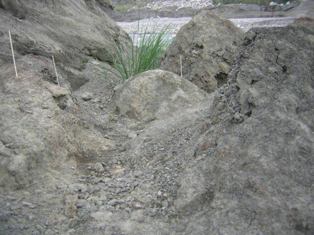 DSCN5508.JPG