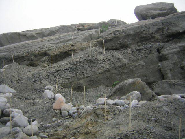 DSCN5504.JPG