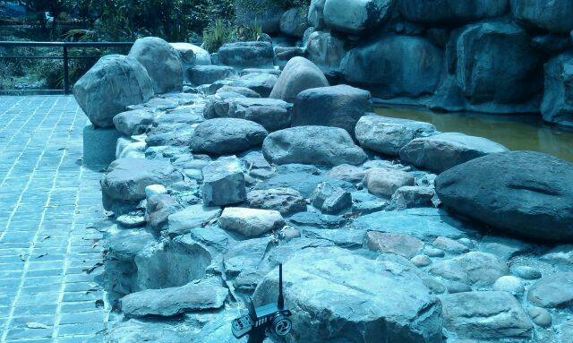 IMAG0181.jpg