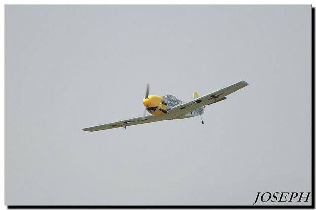 DSC_7710.JPG
