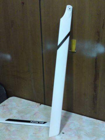 DSC00210.JPG