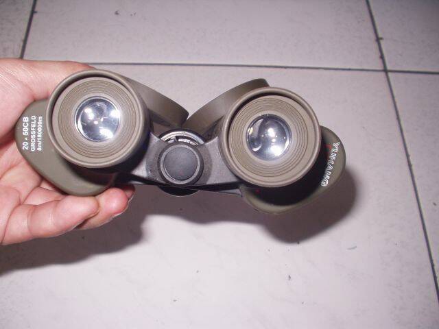 5245.JPG