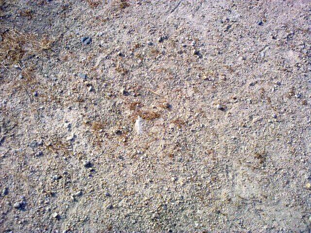 20081225007.jpg
