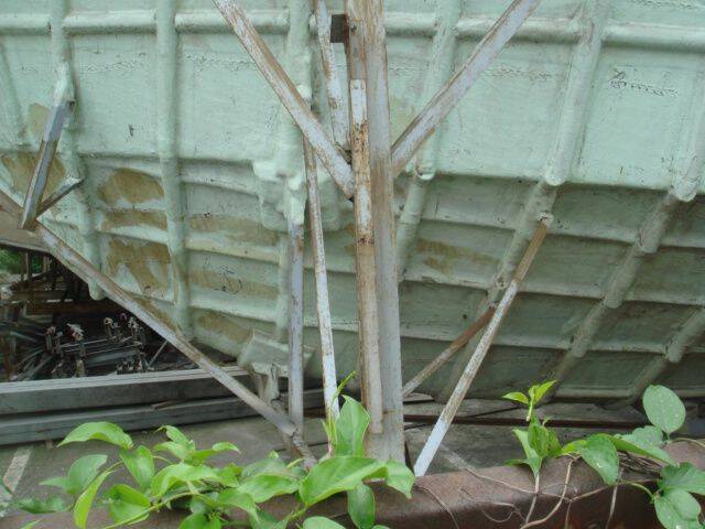 DSC06554.JPG