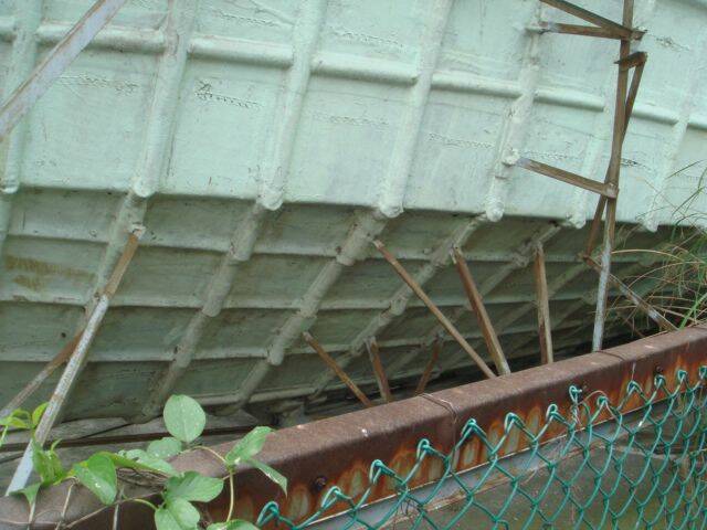 DSC06555.JPG