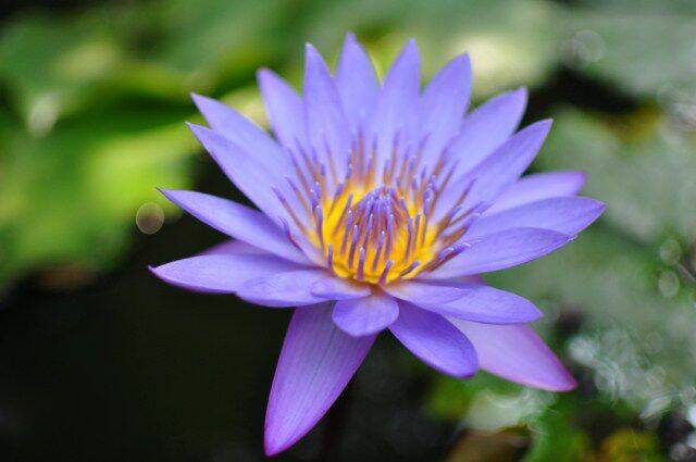 DSC_0230 [640x480].JPG
